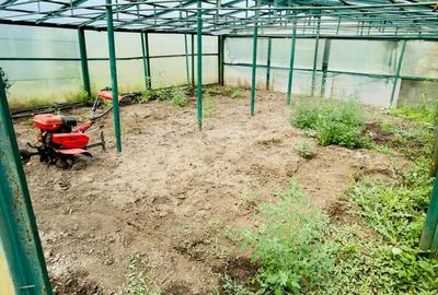 Casă individuală cu 3 camere cu Canalizare în Odaia Manolache - 9
