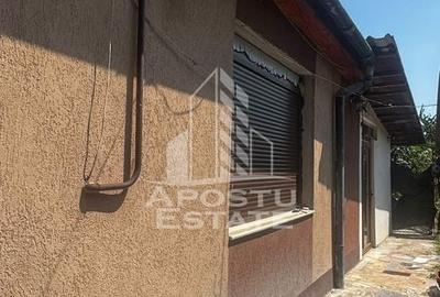 Casă individuală cu 5 camere cu Canalizare în Mehala - 3