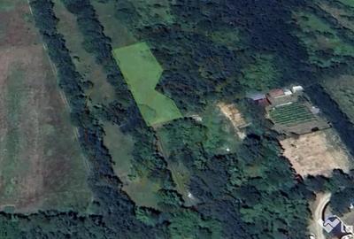 Teren de 1773 mp, în Urleta