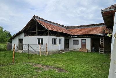 Casă cu Teren 3460 Mp în Pocruia - 5