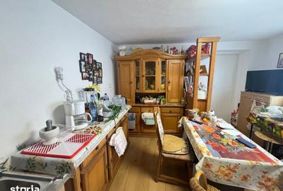 Casă cu 2 camere cu Teren 868 Mp în Arpașu de Jos - 16