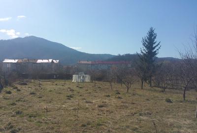 Teren Construcții intravilan de 900 mp, în Noua - 4