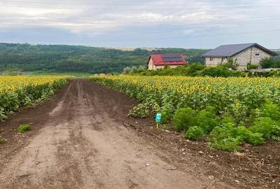 Teren intravilan de 550 mp, în Valea Lupului