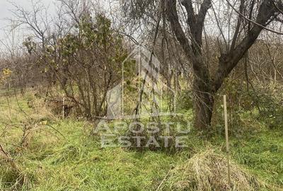 Casă cu 4 camere cu Teren 1509 Mp în Ghiroda