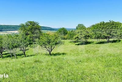 Teren de 4879 mp, în Dobrovăț - 2