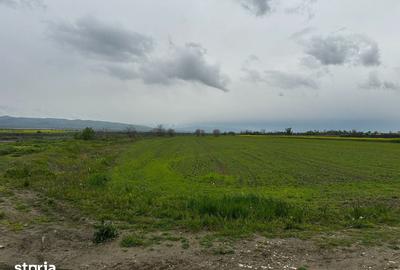 Teren de 2500 mp, în Câmpineanca - 3