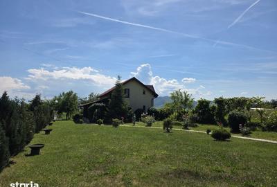 Casă cu 4 camere cu Teren 5095 Mp în Șoimuș - 11