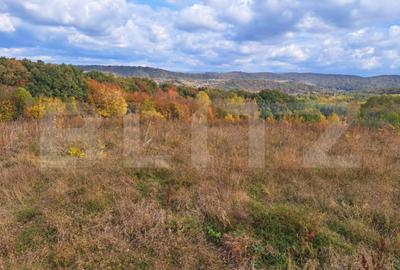 Teren de 5700 mp, în Acățari