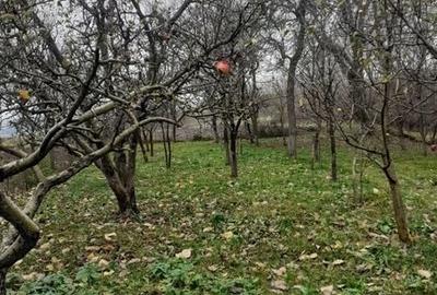 Casă cu 2 camere cu Teren 6900 Mp în Aiton