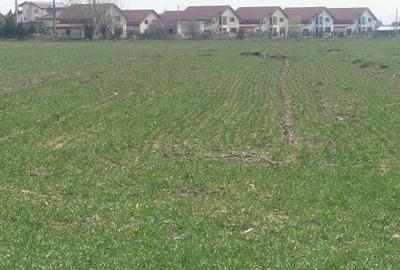 Teren Construcții intravilan de 9200 mp, în Est - 2