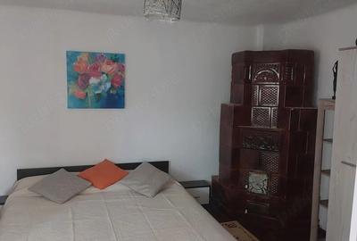 Casă cu Teren 850 Mp în Bujoreni - 6