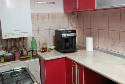 Casă cu Teren 250 Mp în Gojdu - 2