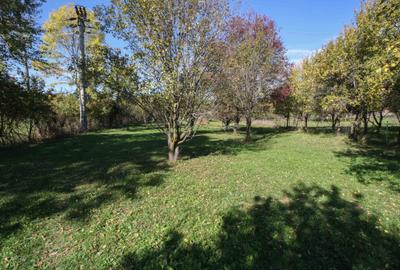 Teren agricol intravilan de 3852 mp, în Poiana - 5