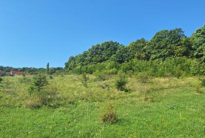 Teren de 1425 mp, în Chinteni - 8