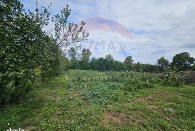 Casă cu 5 camere cu Teren 4484 Mp în Balinț - 13