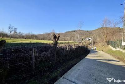 Teren de 4549 mp, în Gura Vitioarei - 8