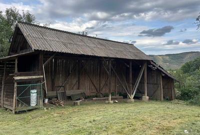 Casă cu 2 camere în Suatu - 2