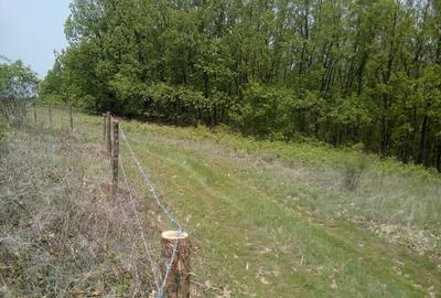 Teren de 50000 mp, în Făgețelu - 2