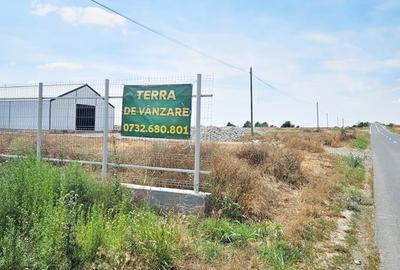 Teren Construcții intravilan de 3000 mp, în Vest - 1