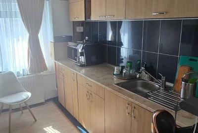 Apartament cu 2 camere semidecomandat, mobilat în Prundu - 8