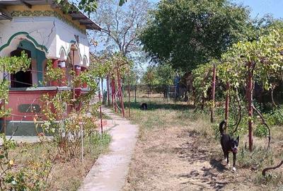 Casă cu 4 camere cu Teren 2800 Mp în Mozăceni - 5