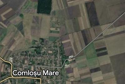 Teren de 60000 mp, în Comloșu Mare