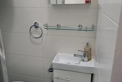 Apartament cu 2 camere decomandat în Iosefin - 9