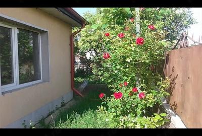 Casă cu Teren 1422 Mp în Căianu