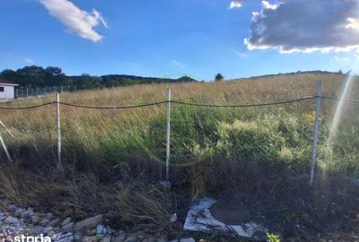 Teren de 700 mp, în Baciu