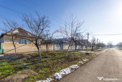 Casă cu 4 camere cu Teren 1679 Mp în Frumușeni - 9