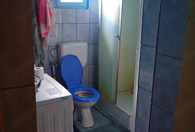 Casă cu Teren 11000 Mp în Sălișca - 7