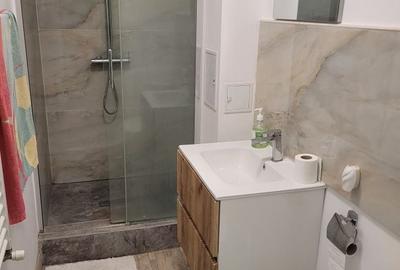 Apartament cu 2 camere semidecomandat în Centrul Civic - 2