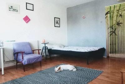 Garsonieră semidecomandată, mobilată în Ștefan cel Mare