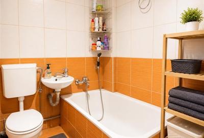 Apartament cu 2 camere nedecomandat, mobilat în Țiglari - 5