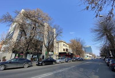 Birou, de 1,809 mp, în Dorobanți - 3
