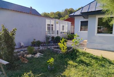 Casă cu 4 camere în Borăscu