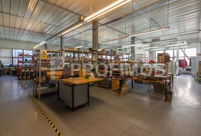 Spațiu industrial, de 2,132 mp, în Sud-Est - 4