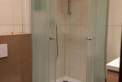 Garsonieră decomandată în Badea Cârțan - 1