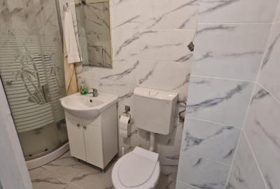 Garsonieră semidecomandată în Lotrioara - 4