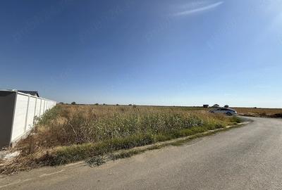 Teren de 500 mp, în Varlaam