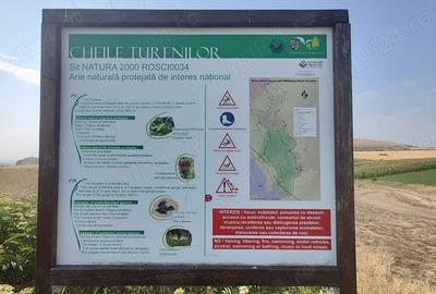 Teren de 5000 mp, în Tureni - 4