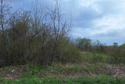 Teren de 726 mp, în Sinești - 2