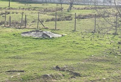Teren de 950 mp, în Colibița - 6