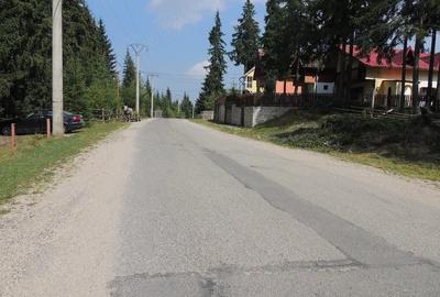 Teren de 500 mp, în Muntele Băișorii - 6