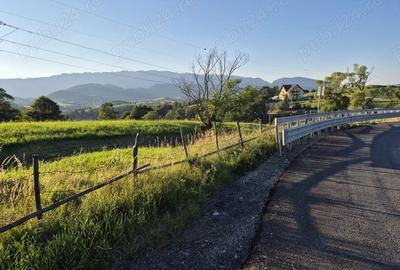 Teren de 6300 mp, în Fundata - 9