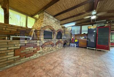 Casă individuală cu 5 camere cu Canalizare în Gropeni - 12