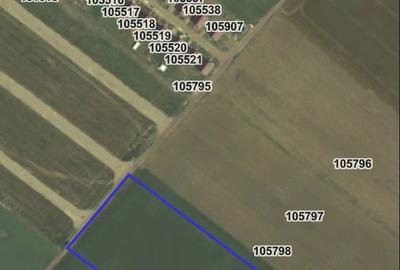 Teren de 25000 mp, în Hălchiu - 4