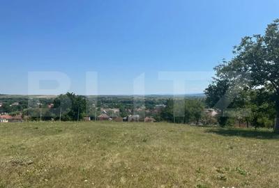 Teren în Criș