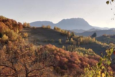Teren de 3760 mp, în Poiana Mărului - 2