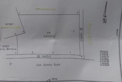 Teren agricol extravilan de 4400 mp, în Păun - 10